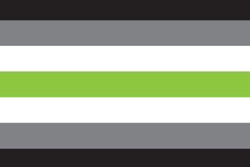 Picture of Agender Pride Flag- 4x6