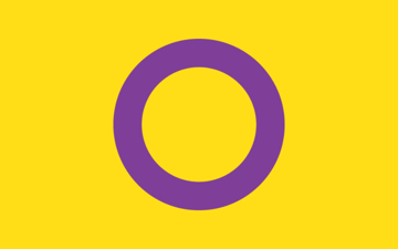 Picture of Intersex Pride Flag- 5x8