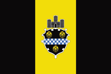 Picture of Pittsburgh, PA Flag- 2x3