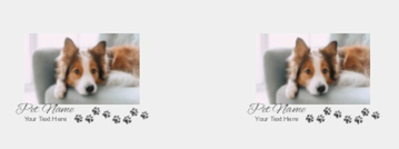 Picture of Pet Mug 4