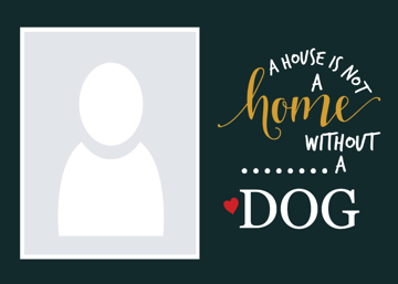 Picture of Metal Prints Pets 1 - 5x7