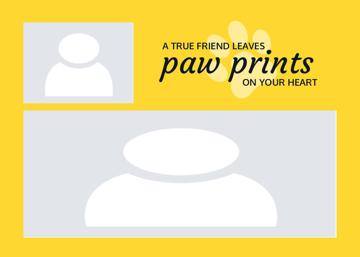 Picture of Metal Prints Pets 8 - 5x7