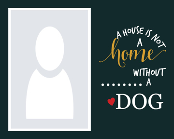 Picture of Metal Prints Pets 1 - 8x10