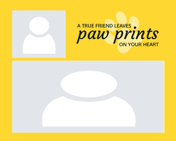 Picture of Metal Prints Pets 8 - 8x10