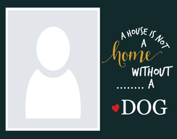 Picture of Metal Prints Pets 1 - 11x14