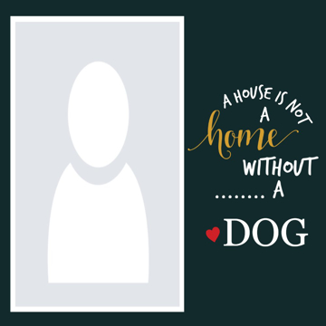 Picture of Metal Prints Pets 1 - 12x12