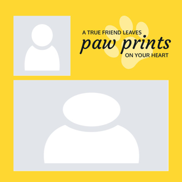 Picture of Metal Prints Pets 8 - 12x12