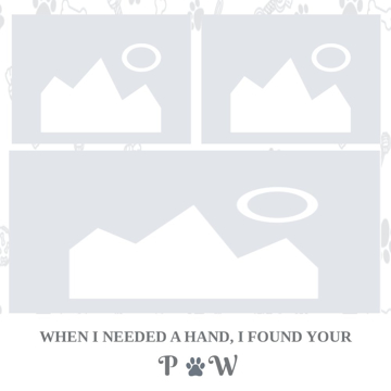 Picture of Metal Prints Pets 9 - 12x12