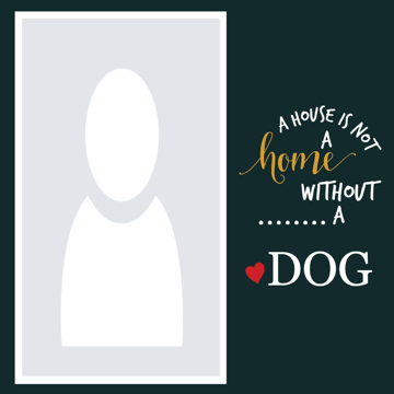 Picture of Metal Prints Pets 1 - 16x16