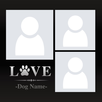 Picture of Metal Prints Pets 4 - 16x16