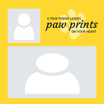 Picture of Metal Prints Pets 8 - 16x16