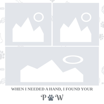 Picture of Metal Prints Pets 9 - 16x16