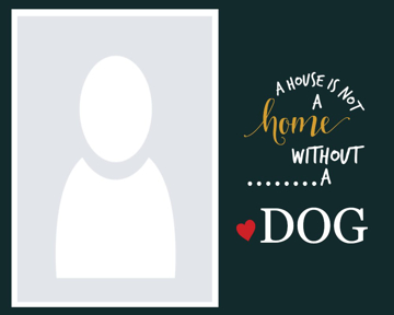 Picture of Metal Prints Pets 1 - 16x20