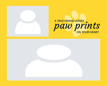 Picture of Metal Prints Pets 8 - 16x20