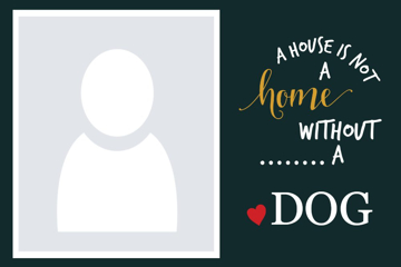 Picture of Metal Prints Pets 1- 24x36