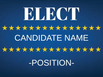 Picture of Political 6 - 18" x 24"