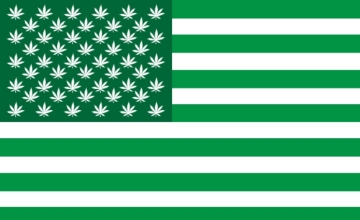 Picture of Novelty Flag 3