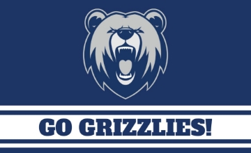 Picture of Sports Flag 1