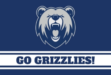 Picture of Sports Flag 1 - 2x3