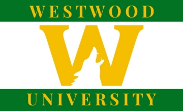 Picture of School Flag 8