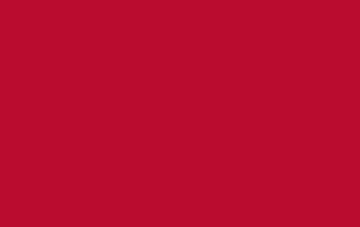 Picture of Brick Flag 11- 5x8