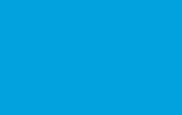 Picture of Brick Flag 3- 5x8