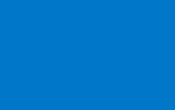 Picture of Brick Flag 4- 5x8