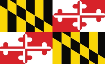 Picture of Baltimore, MD Flag